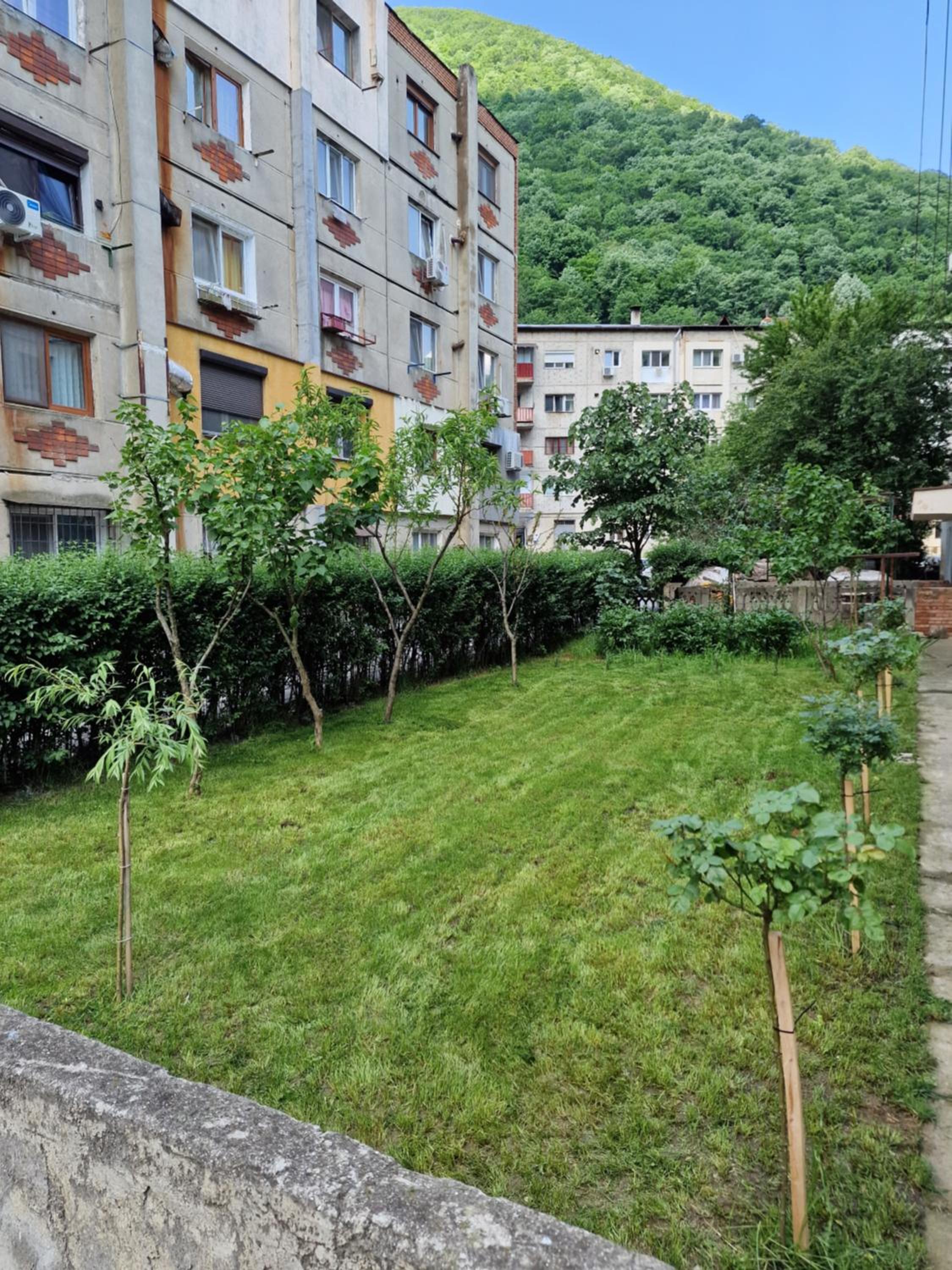 Photo 27