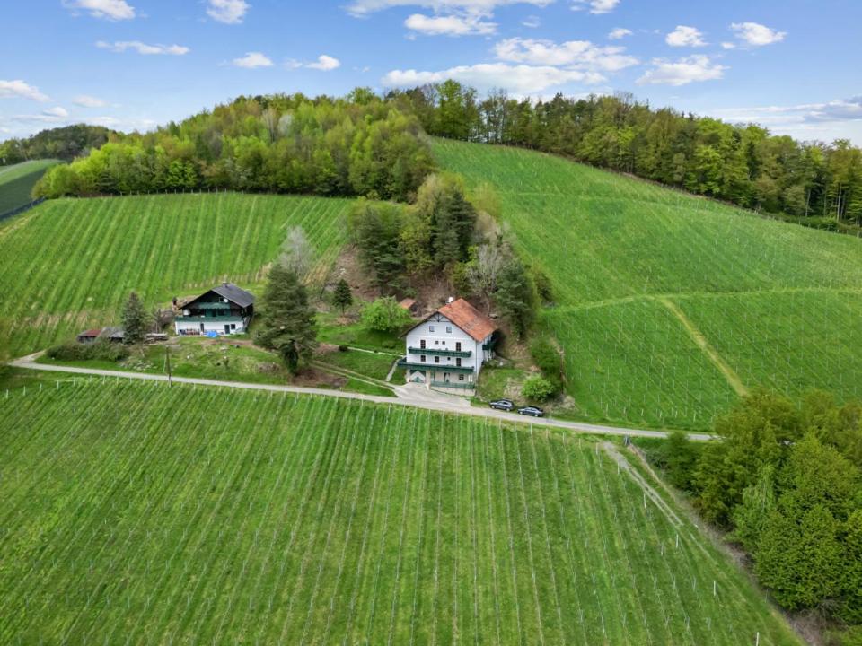 Pension Maximilian
