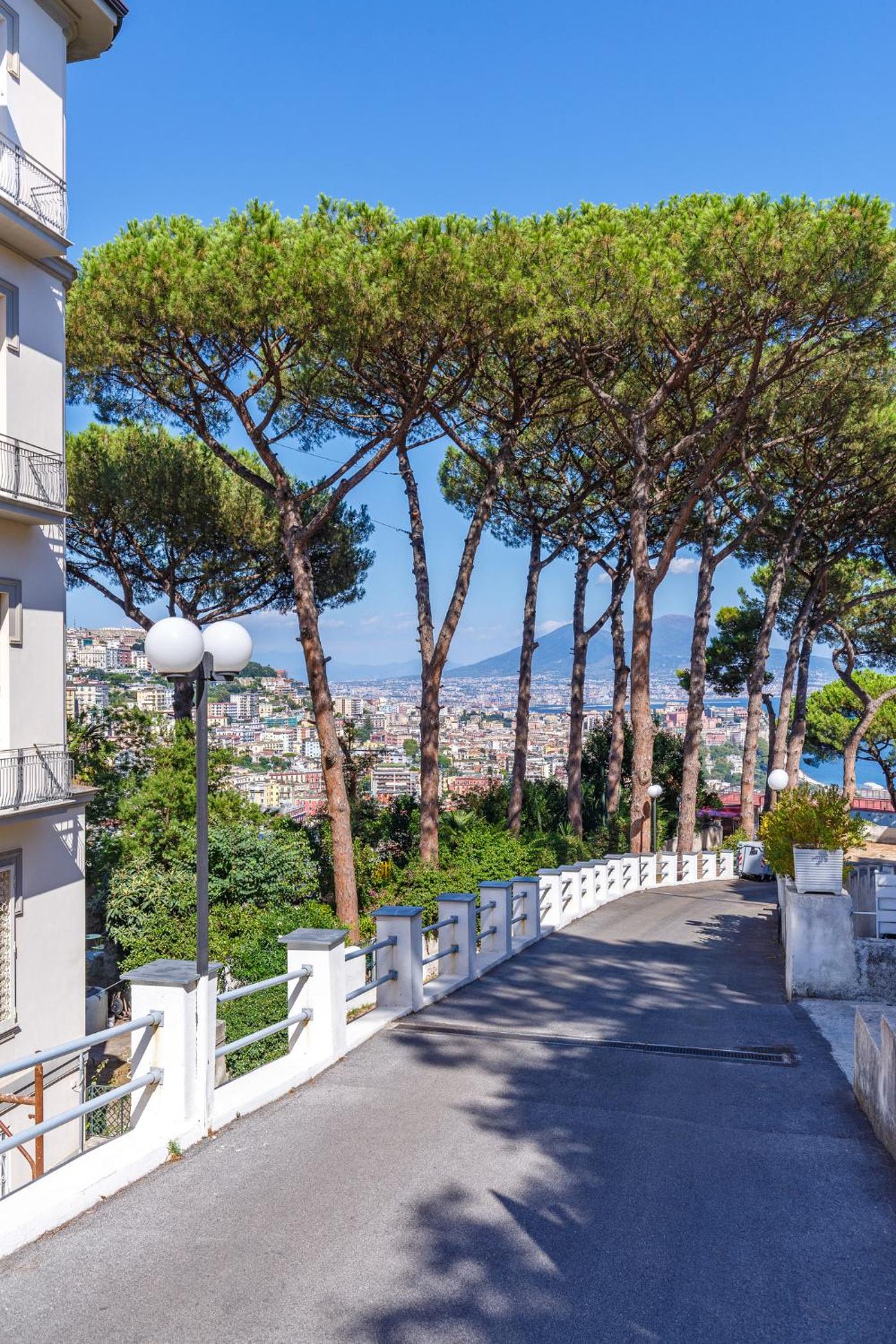 Romantic Place with Pines, Cats, Stunning View and Parking