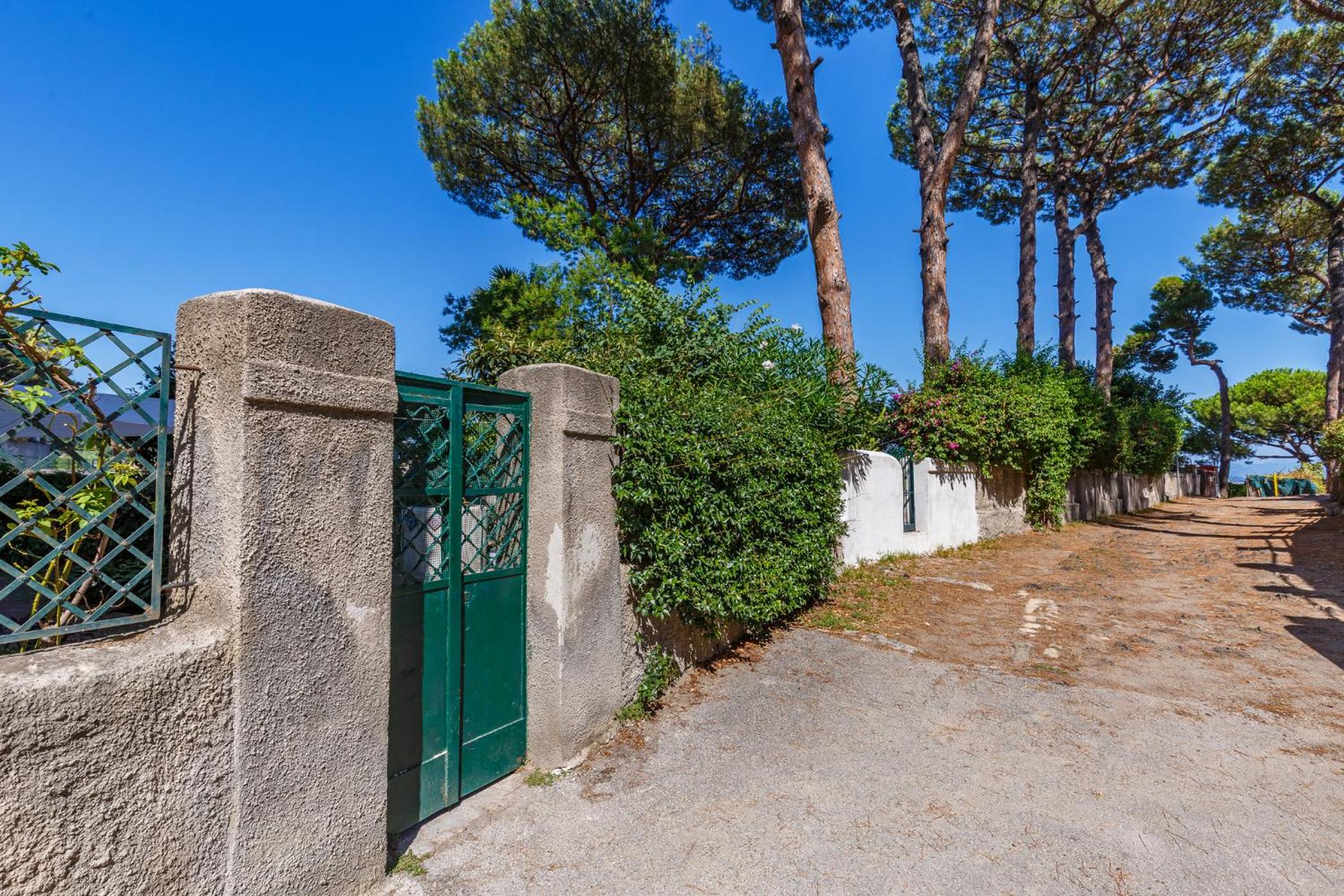 Romantic Place with Pines, Cats, Stunning View and Parking