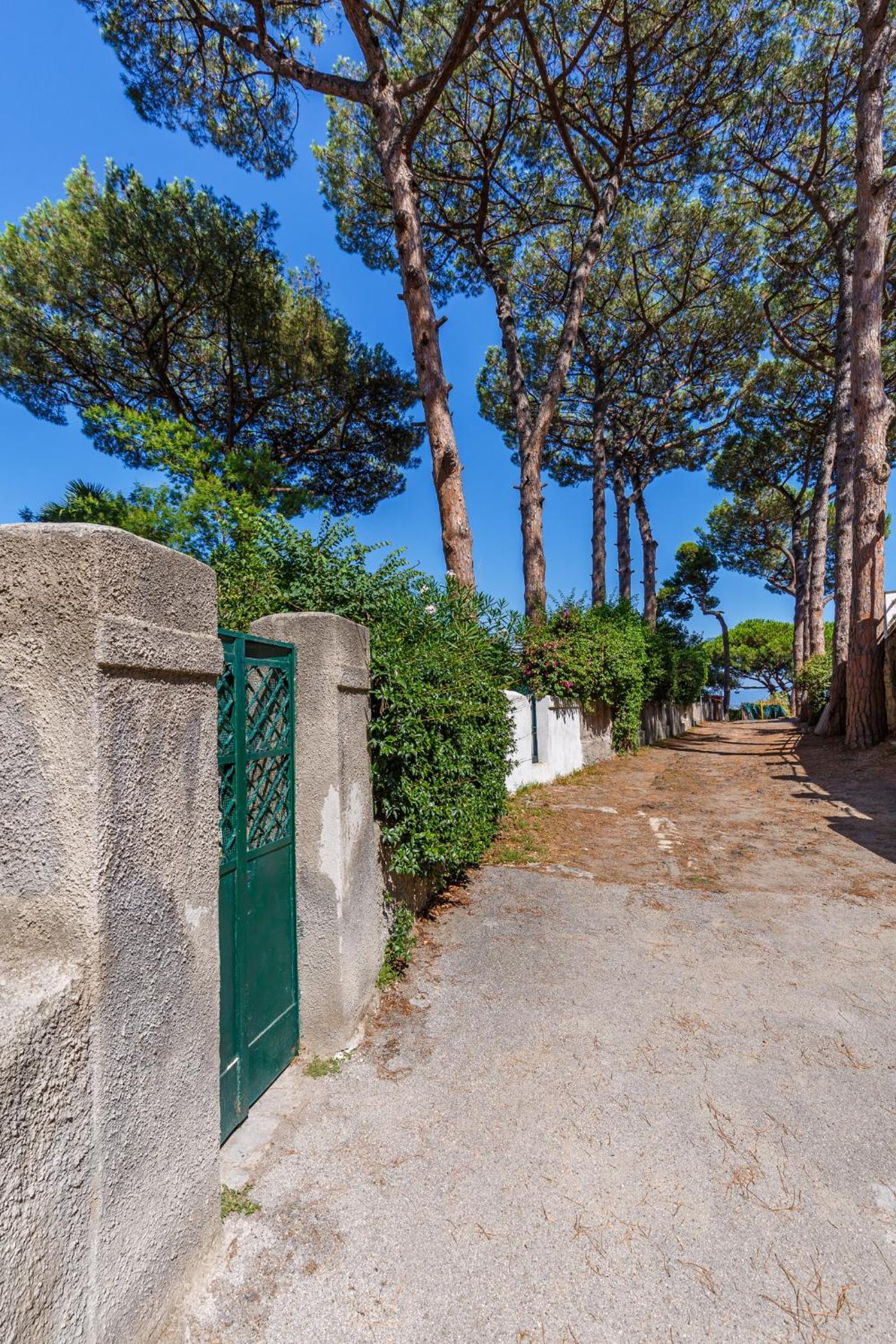 Romantic Place with Pines, Cats, Stunning View and Parking