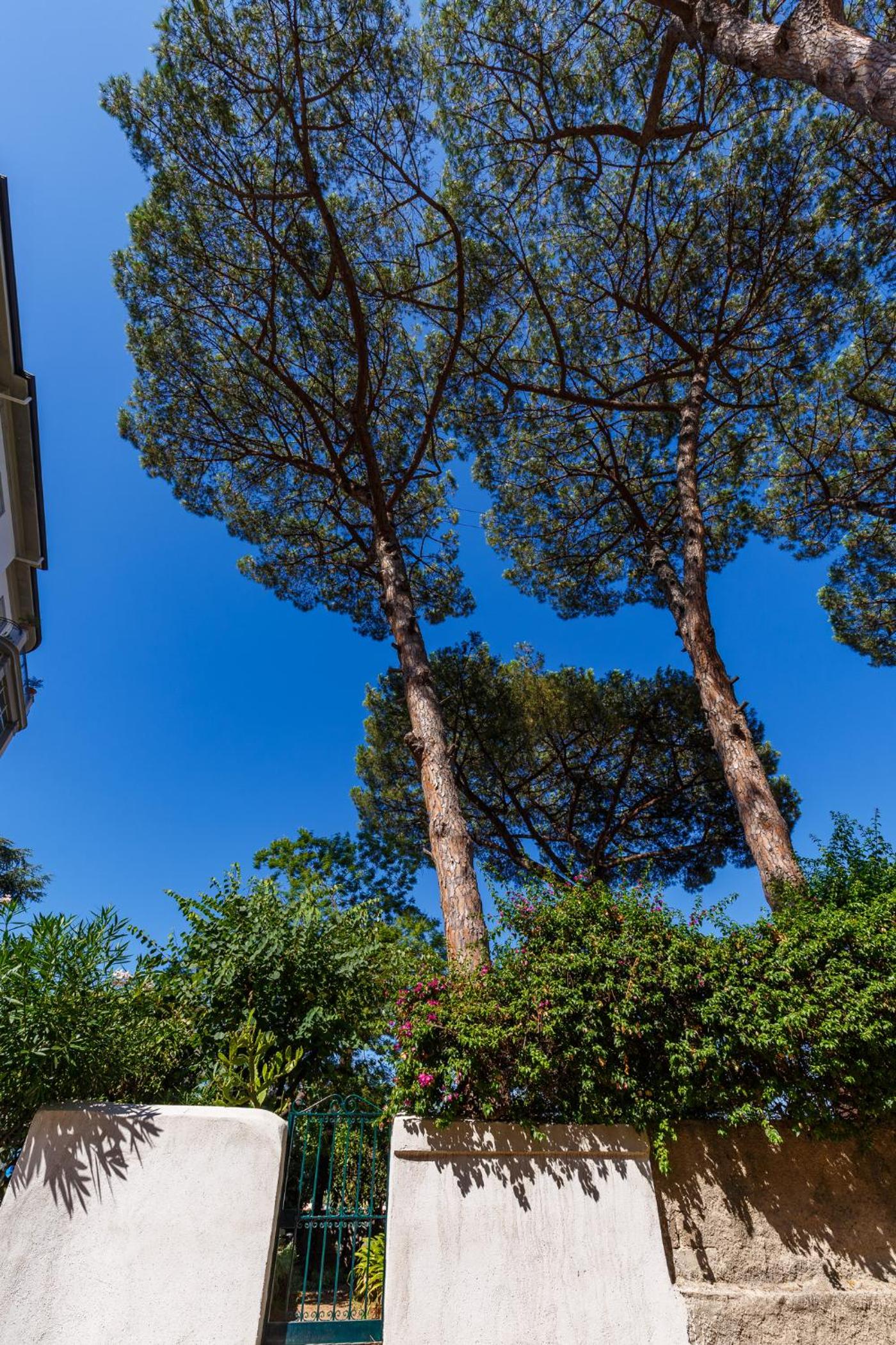 Romantic Place with Pines, Cats, Stunning View and Parking