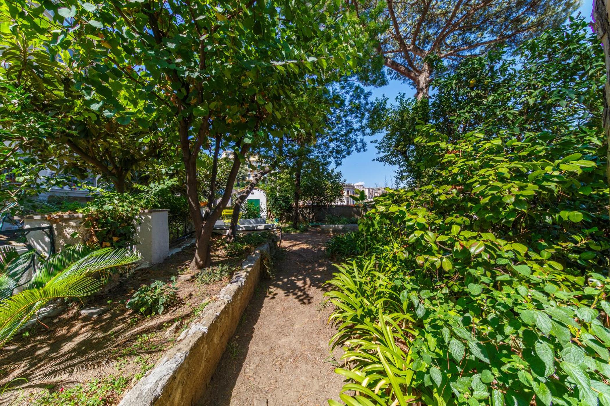 Romantic Place with Pines, Cats, Stunning View and Parking