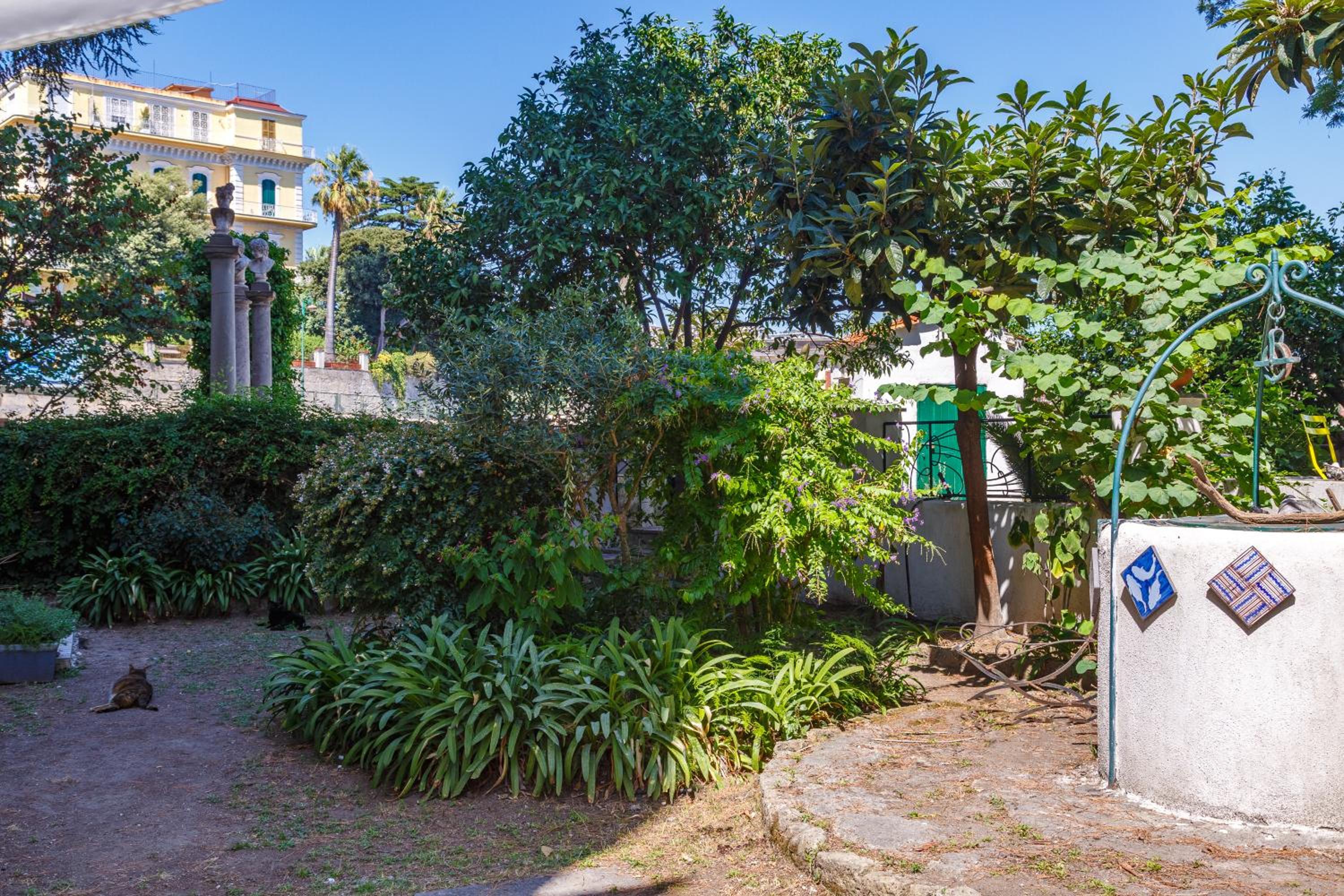 Romantic Place with Pines, Cats, Stunning View and Parking