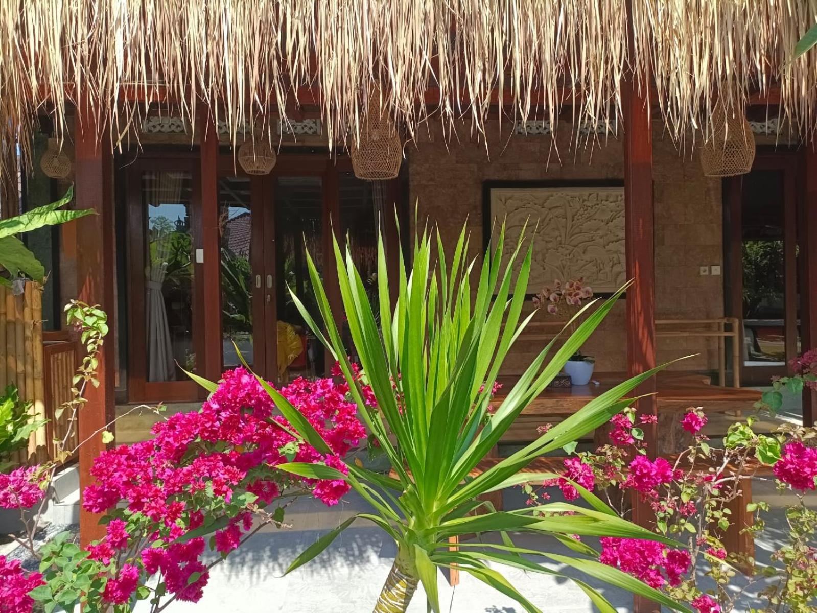 Nirmala Guest House view 5