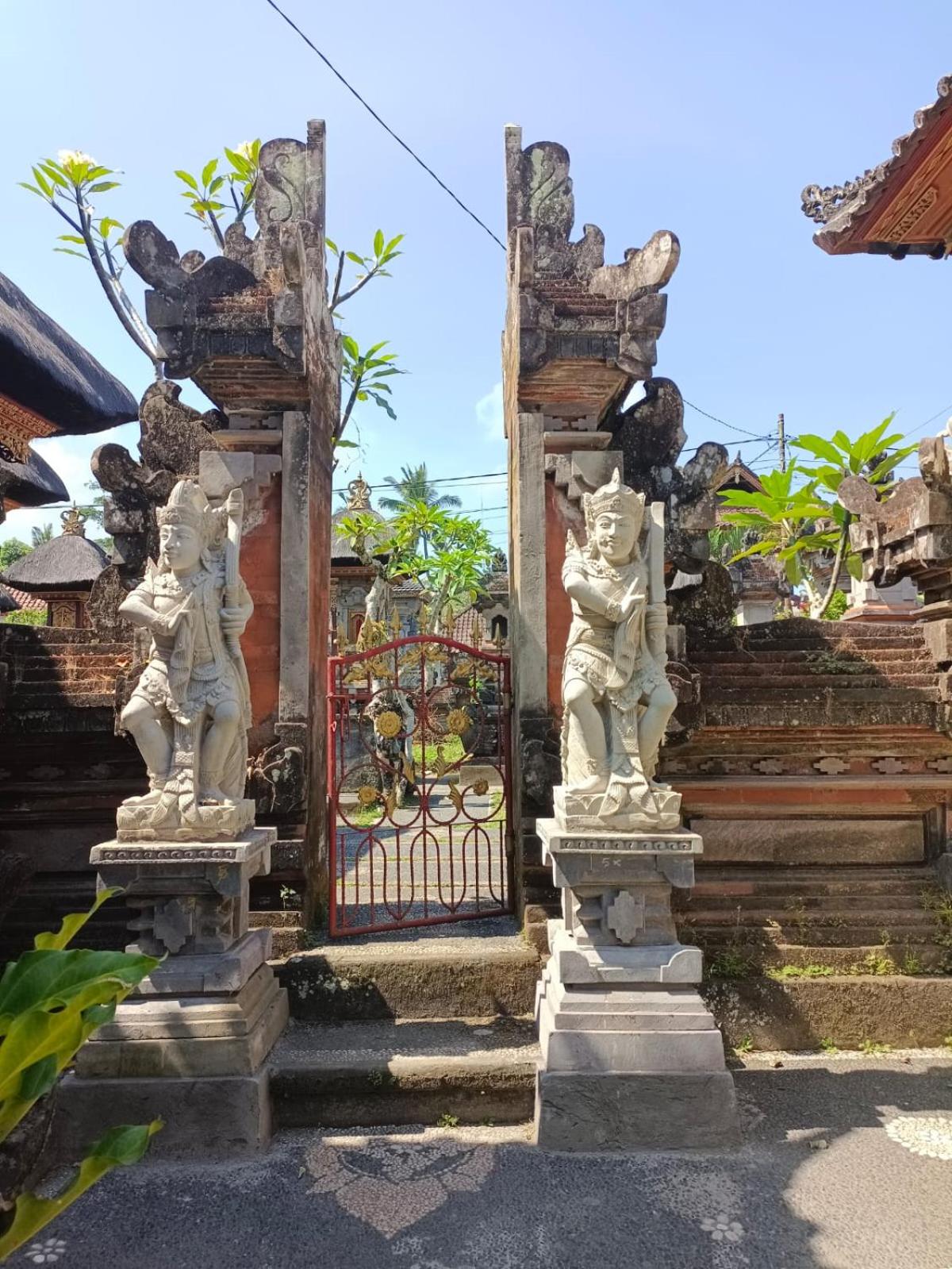 Photo 19