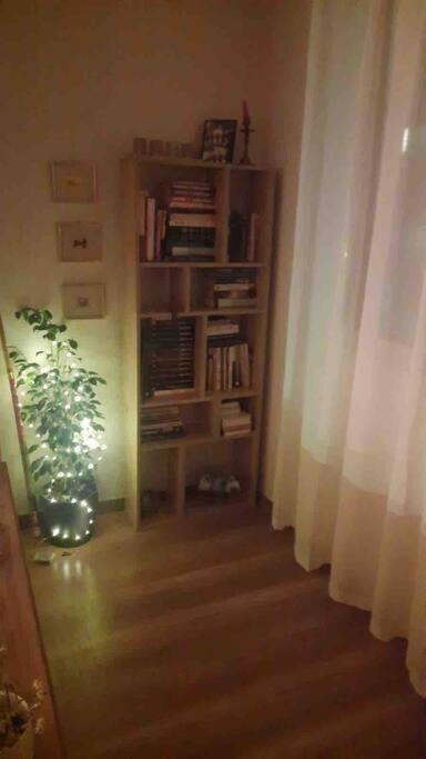 Specious Modern Apartment