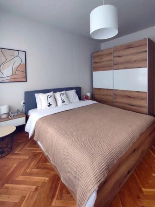 Specious Modern Apartment