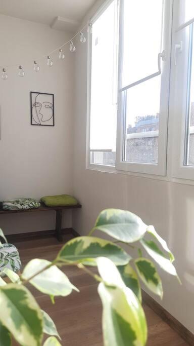 Specious Modern Apartment