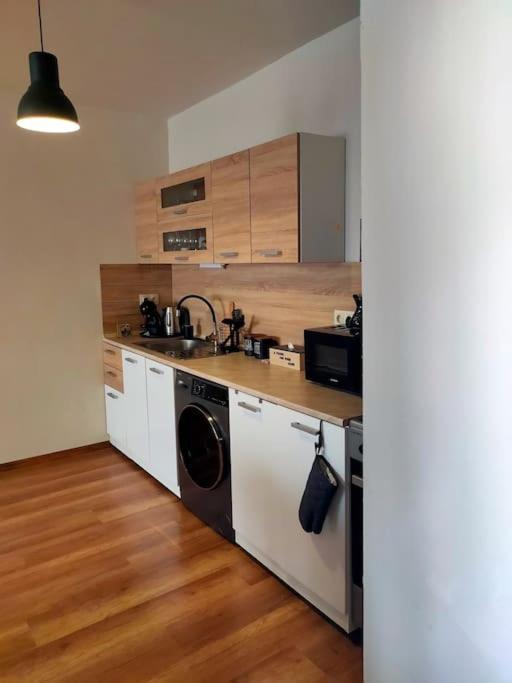 Specious Modern Apartment