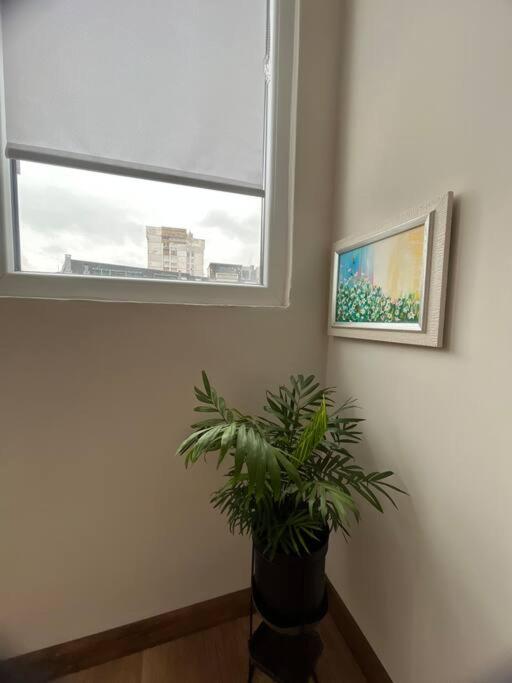 Specious Modern Apartment
