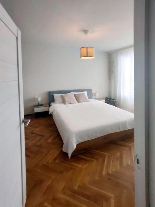 Specious Modern Apartment