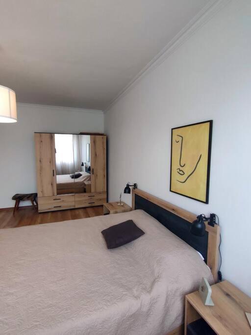 Specious Modern Apartment