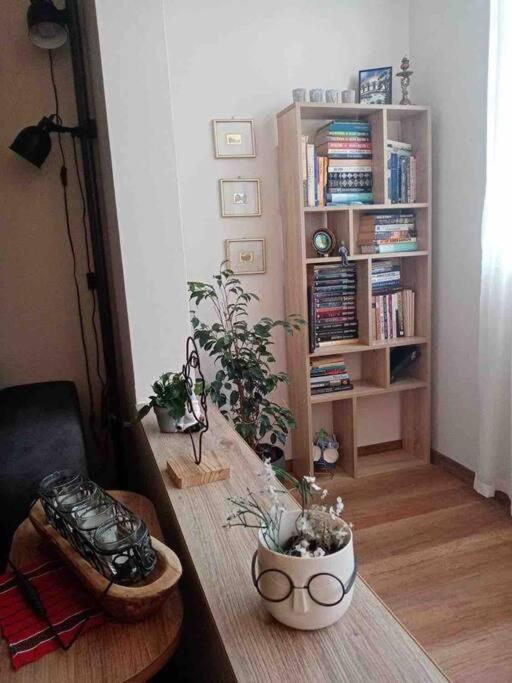 Specious Modern Apartment