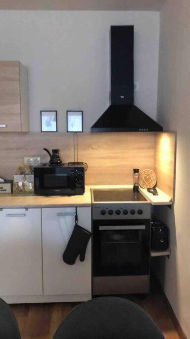 Specious Modern Apartment