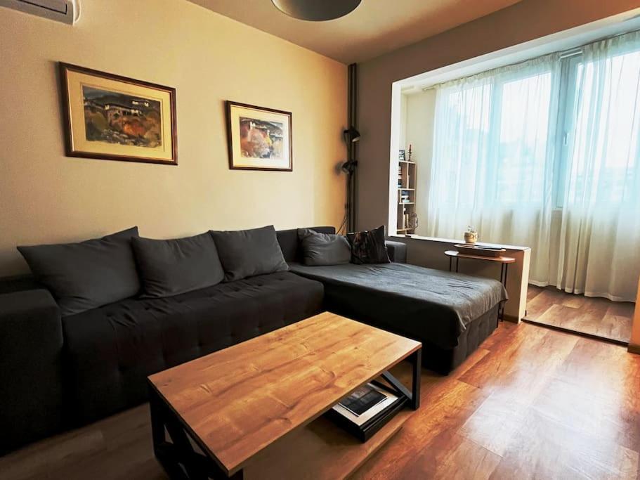 Specious Modern Apartment
