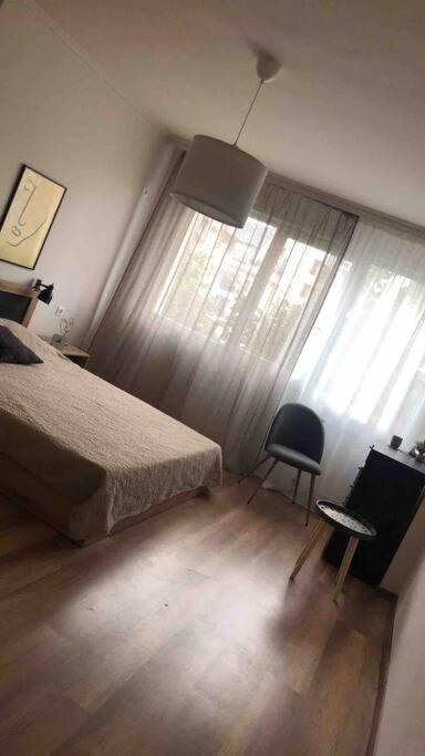 Specious Modern Apartment