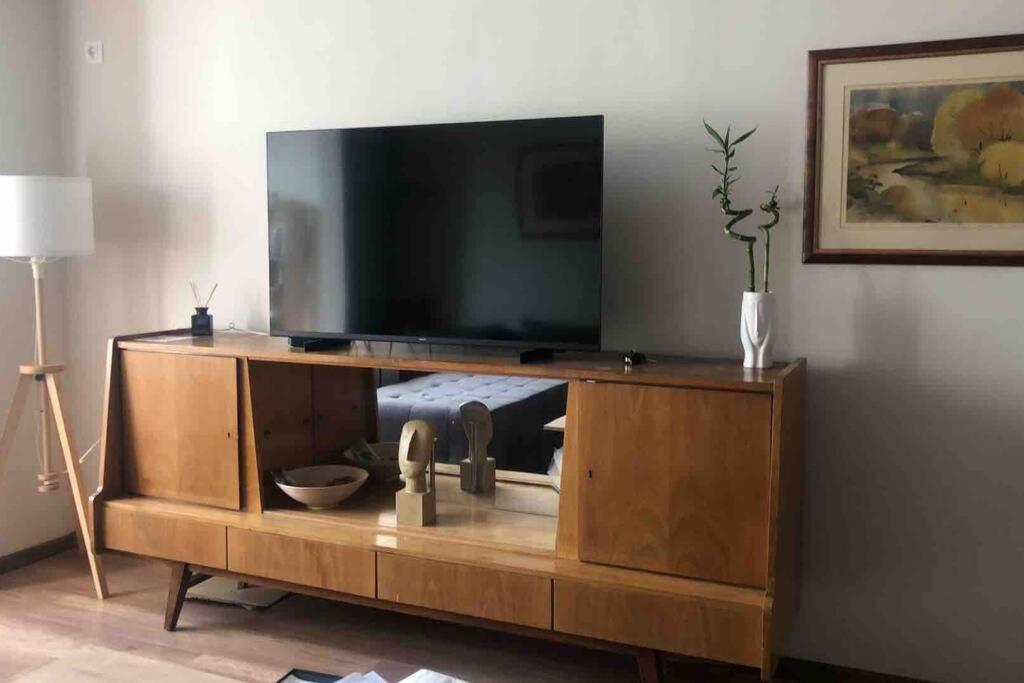 Specious Modern Apartment