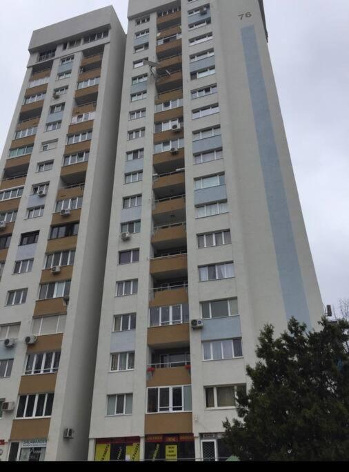 Specious Modern Apartment