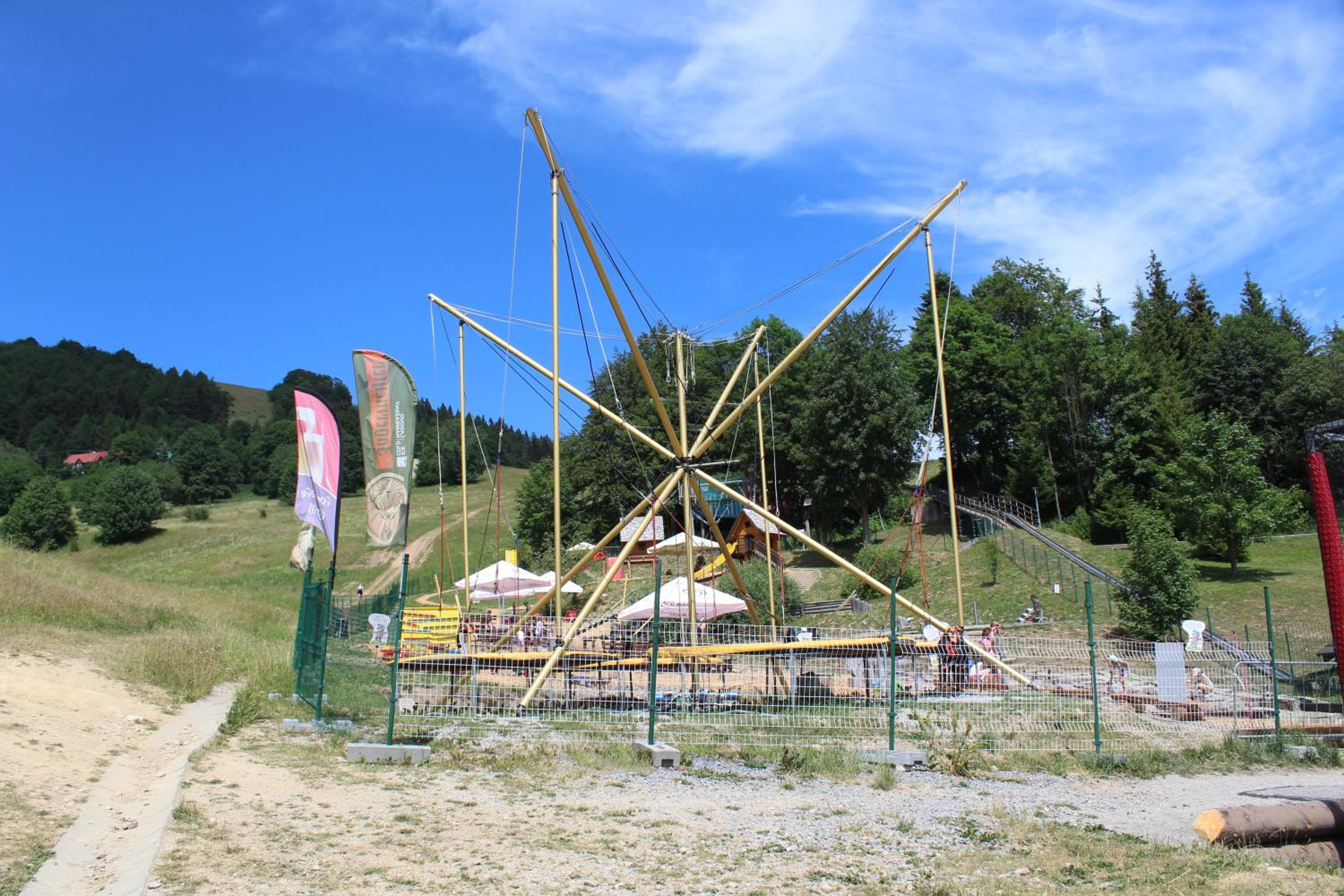 Photo 45
