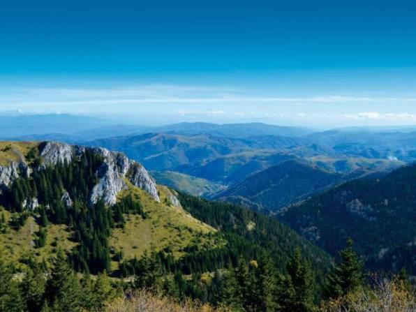 Mantera Apartmani