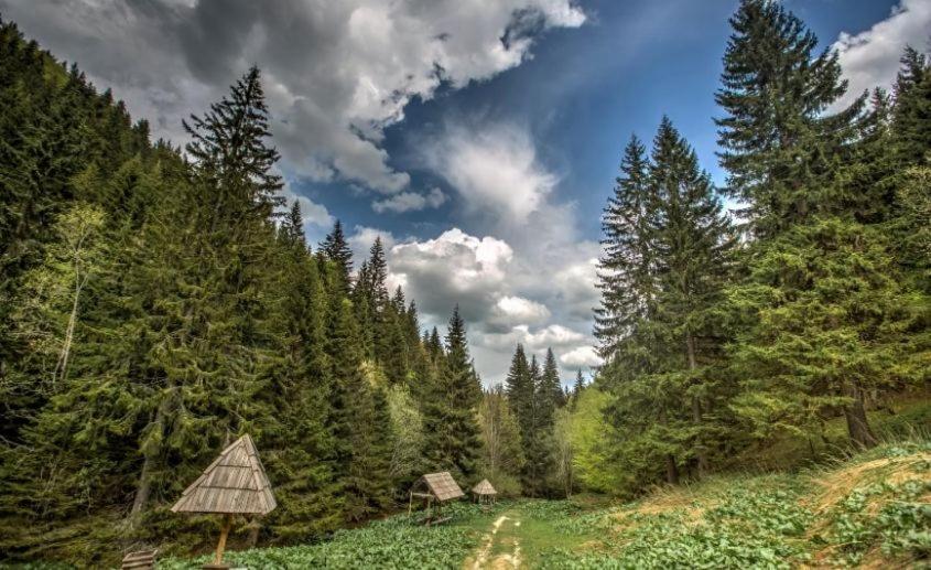 Mantera Apartmani