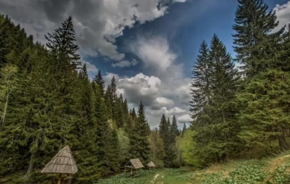Mantera Apartmani