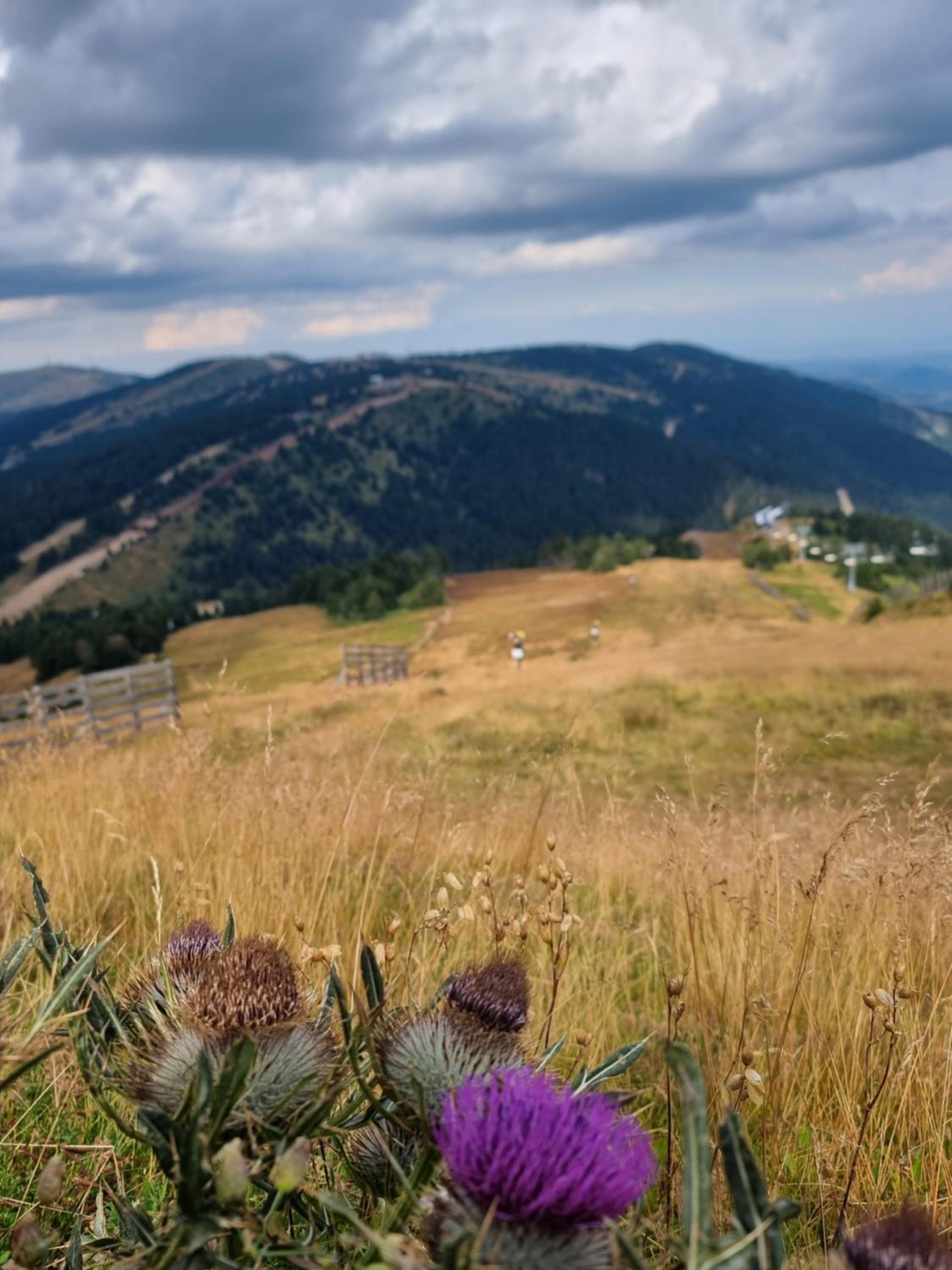 Mantera Apartmani