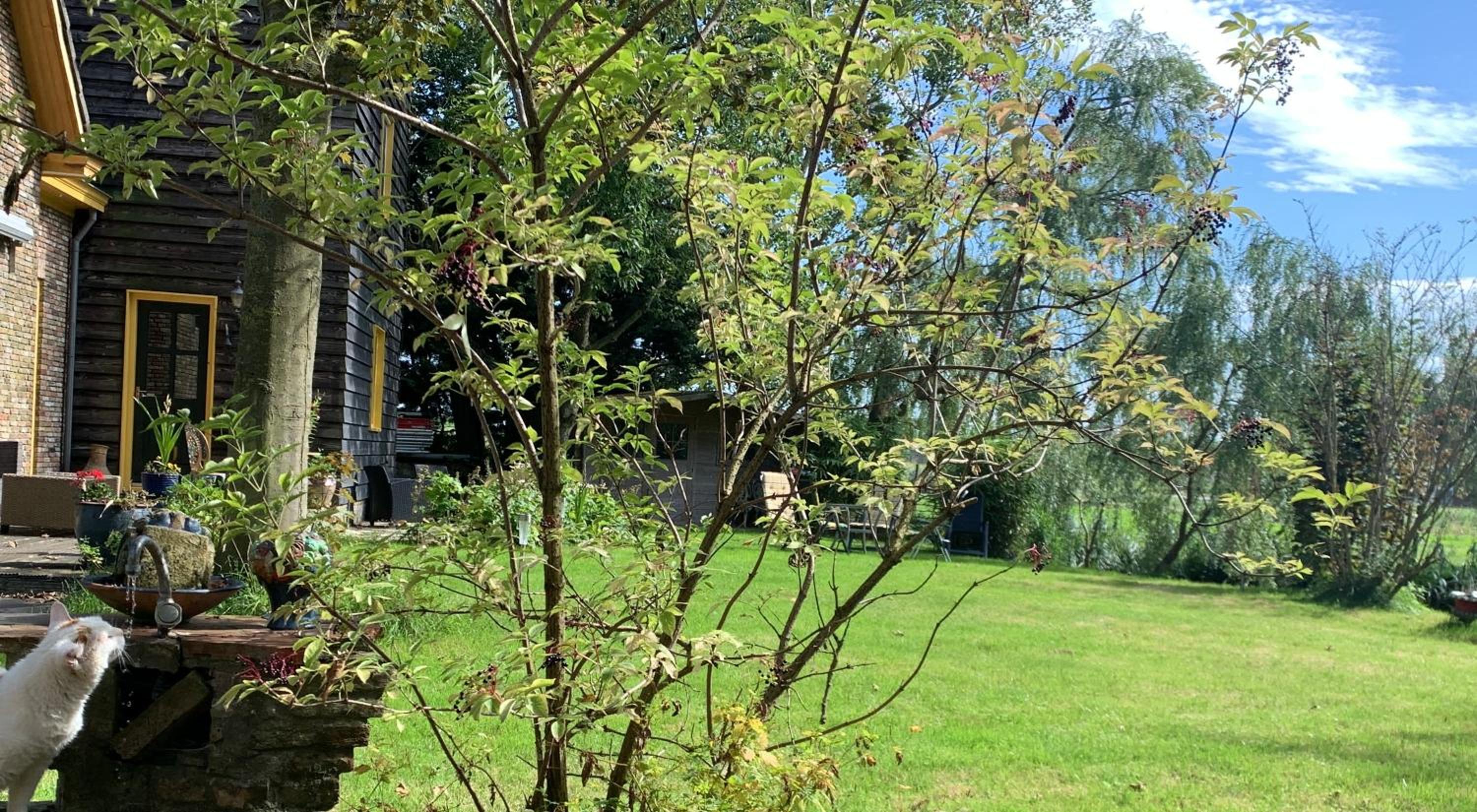 Photo 22