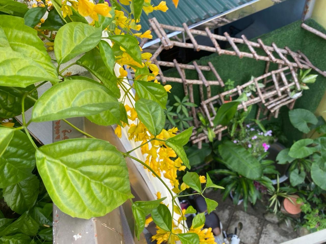 SEVEN HOMESTAY(HUE) view 3