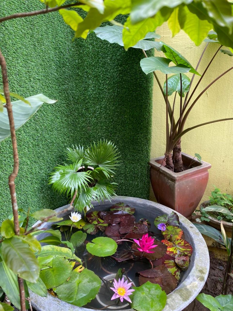 Photo 35
