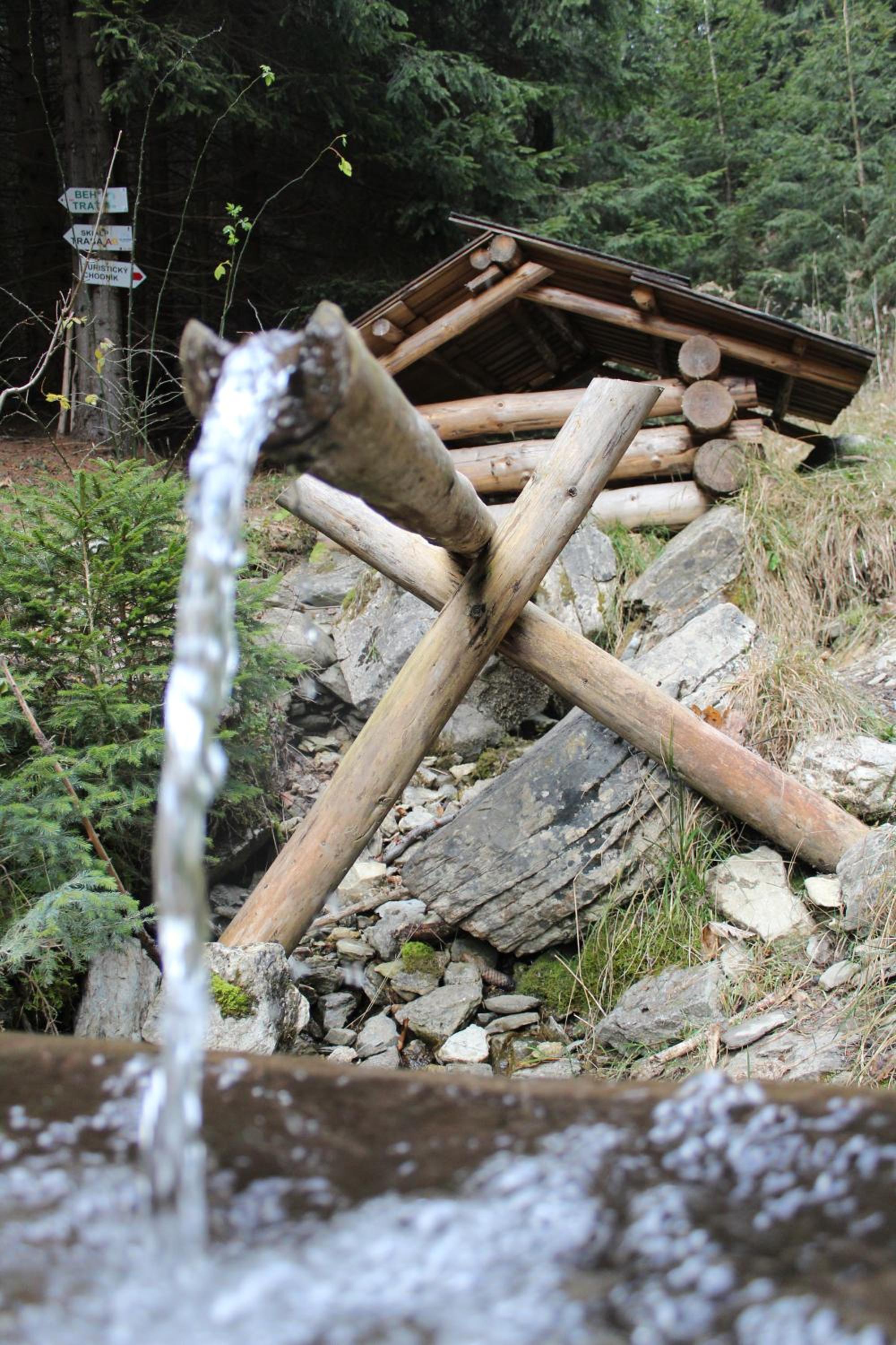 Photo 47