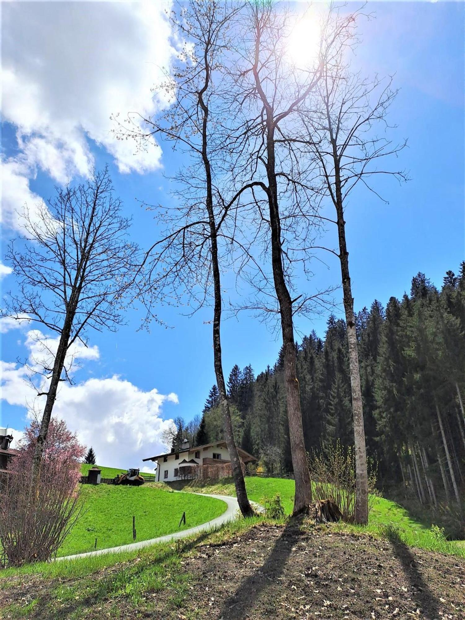 Ferienhaus Hansl