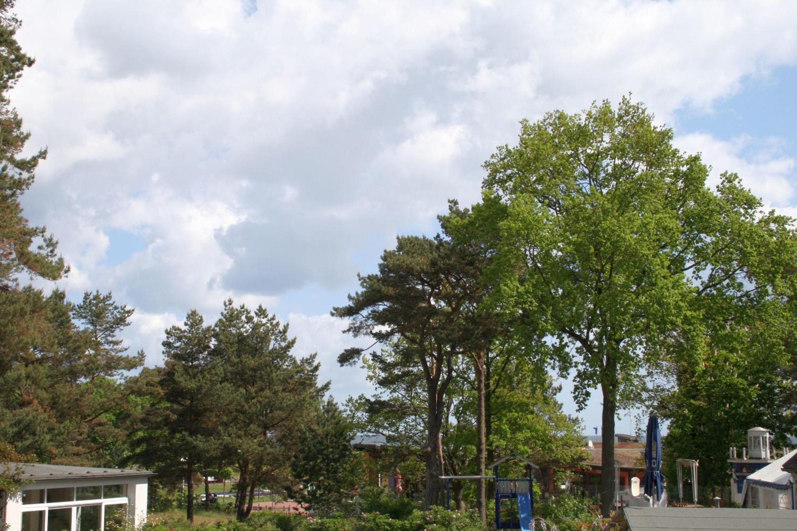 Haus Strandkiefer