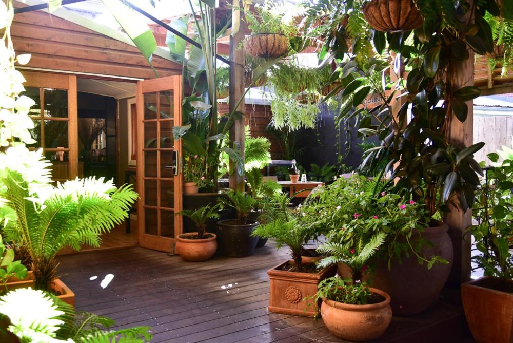Macleay Cottage with plunge pool and local arts