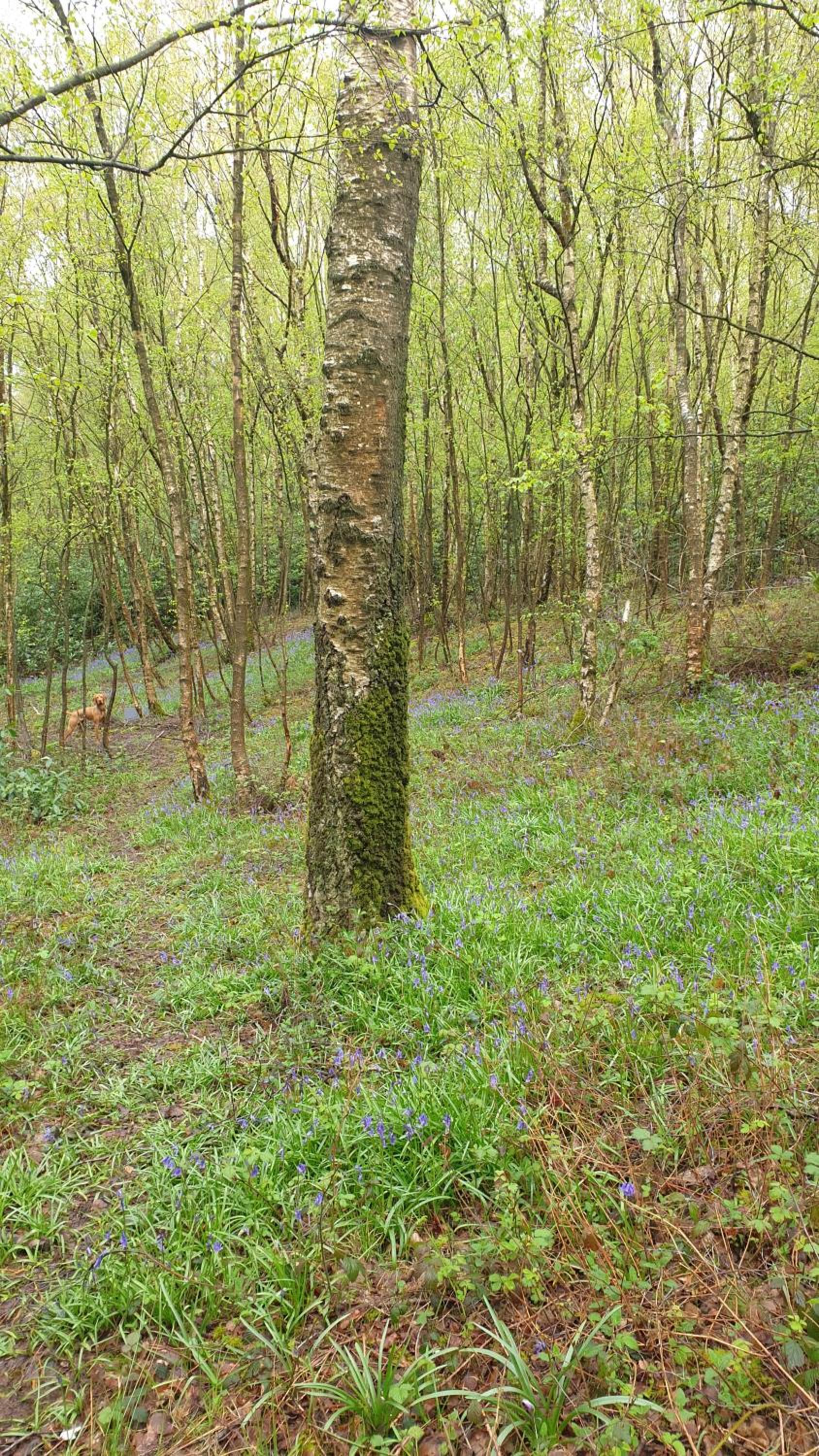Photo 27