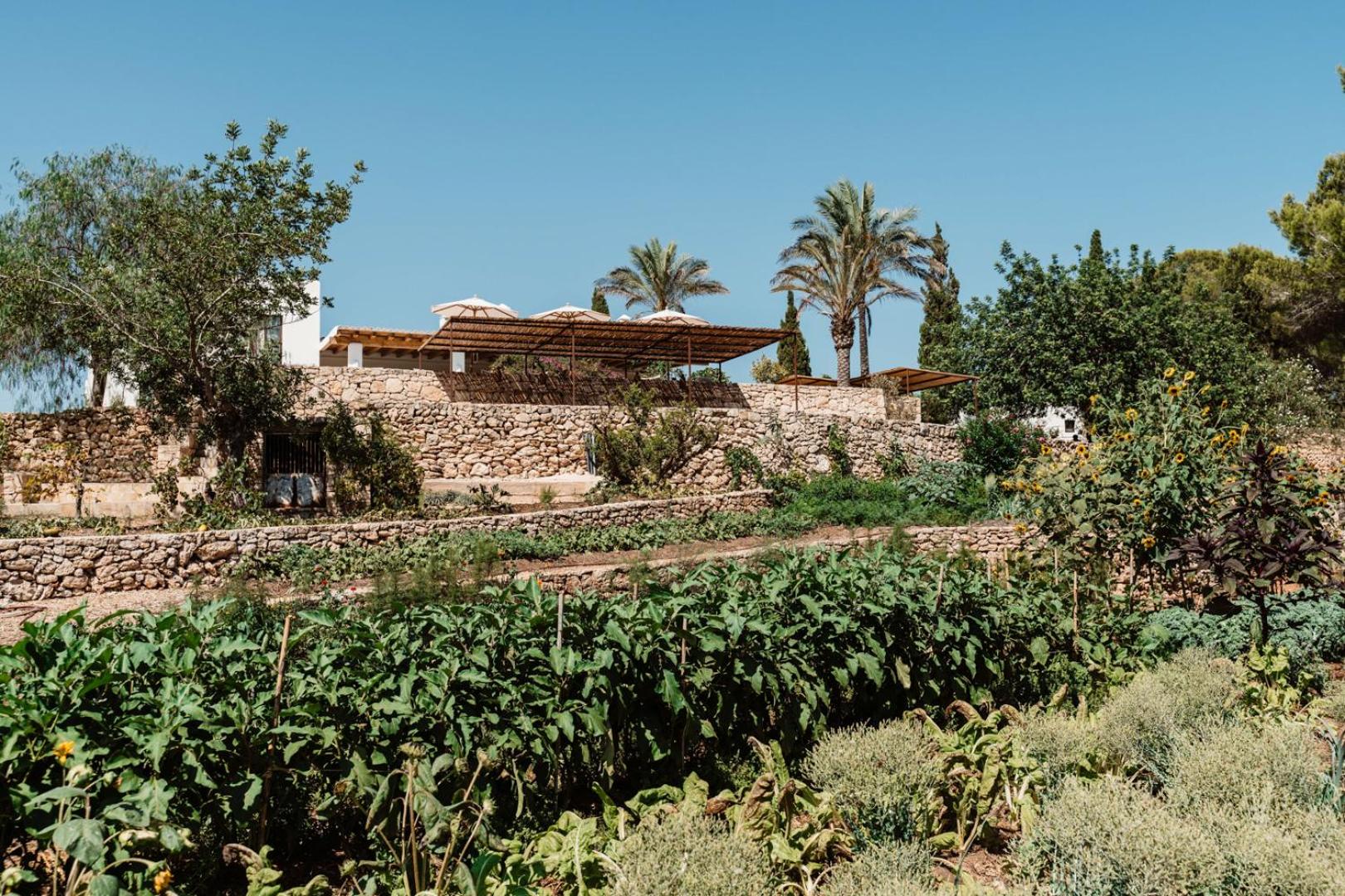 Aguamadera