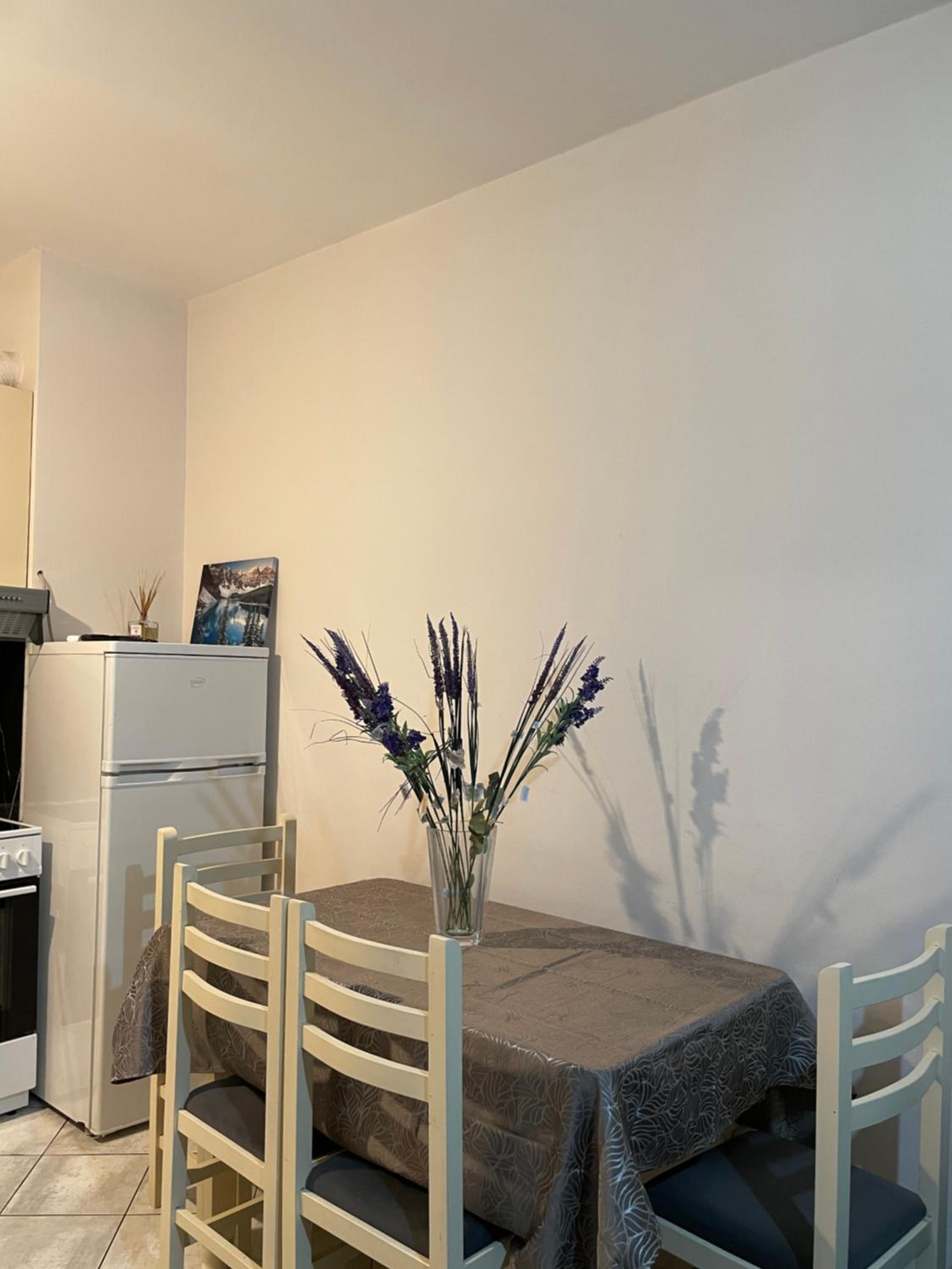 Central luxury apartment