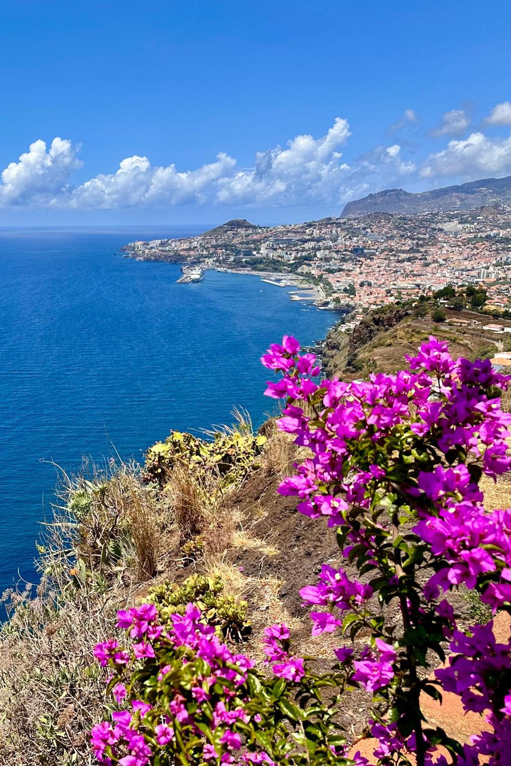 Getaway to Blue Paradise at Madeira Island, photo 11