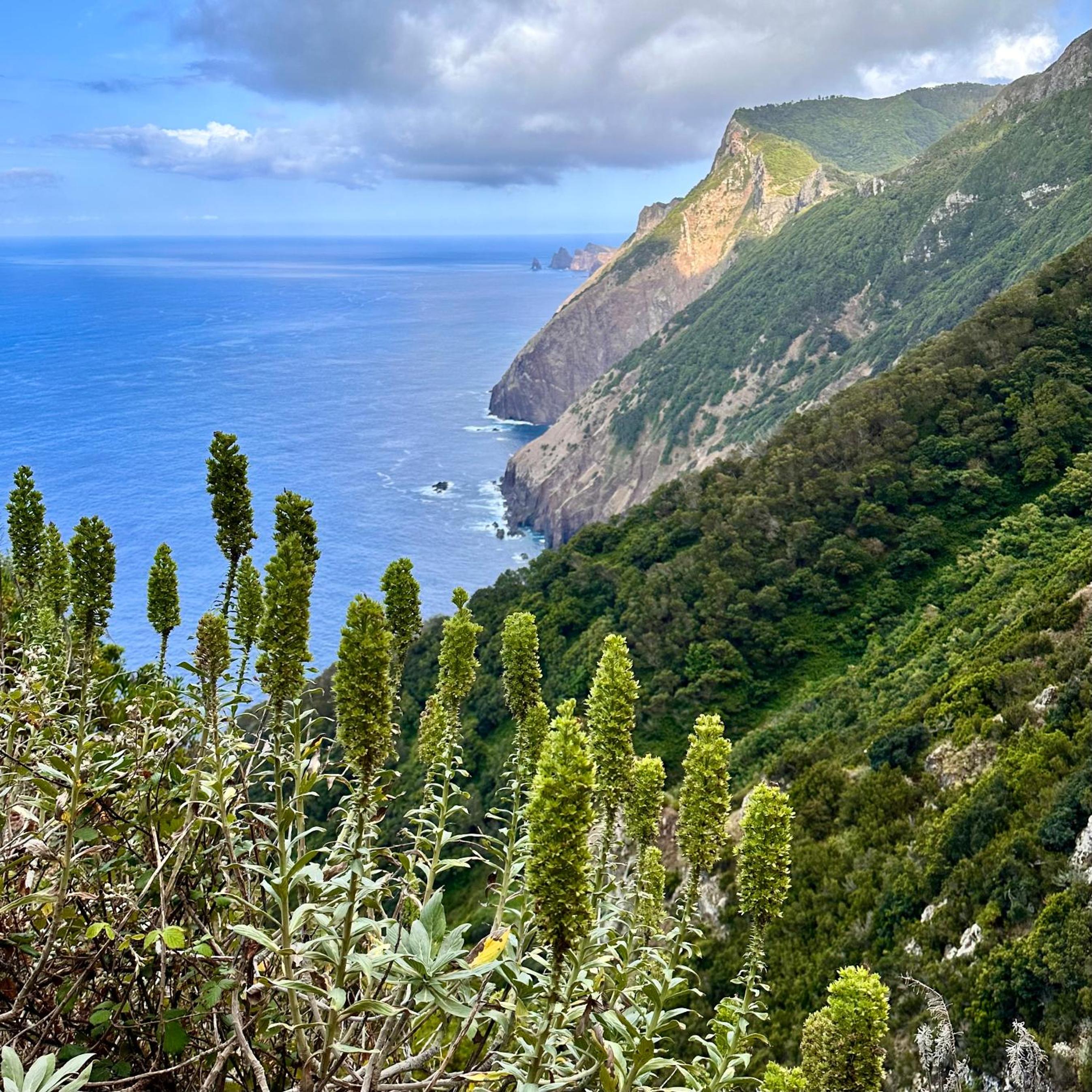 Getaway to Blue Paradise at Madeira Island, photo 32