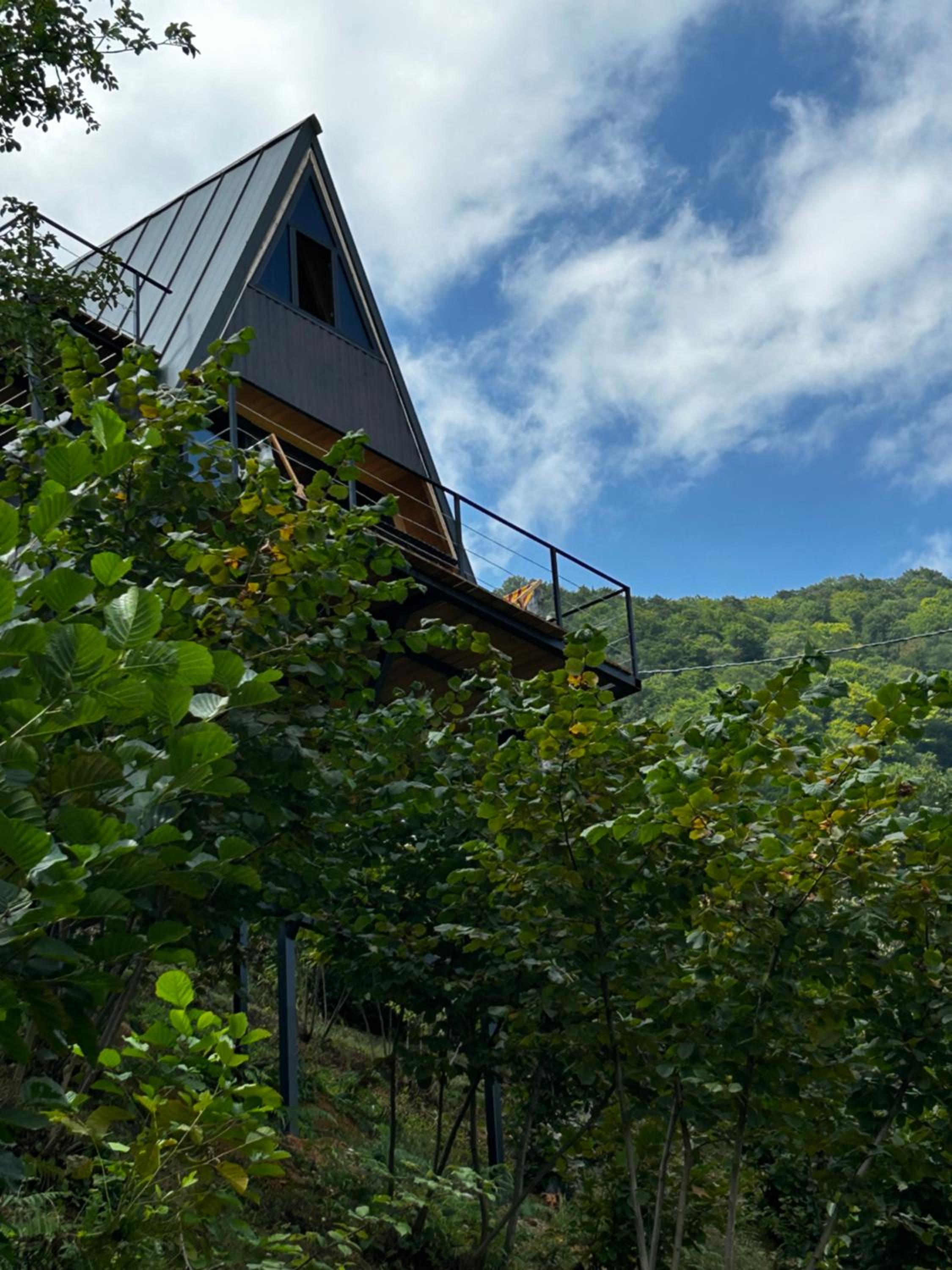 HillSide Cottage-ჰილსაიდ კოტეჯი