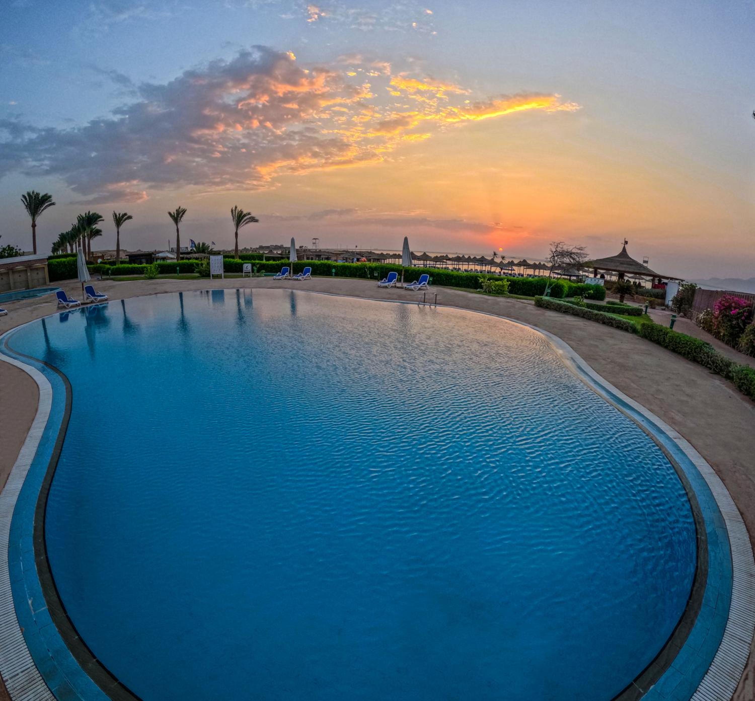 Ivy Cyrene Sharm Resort Adults Friendly Plus 13 view 3