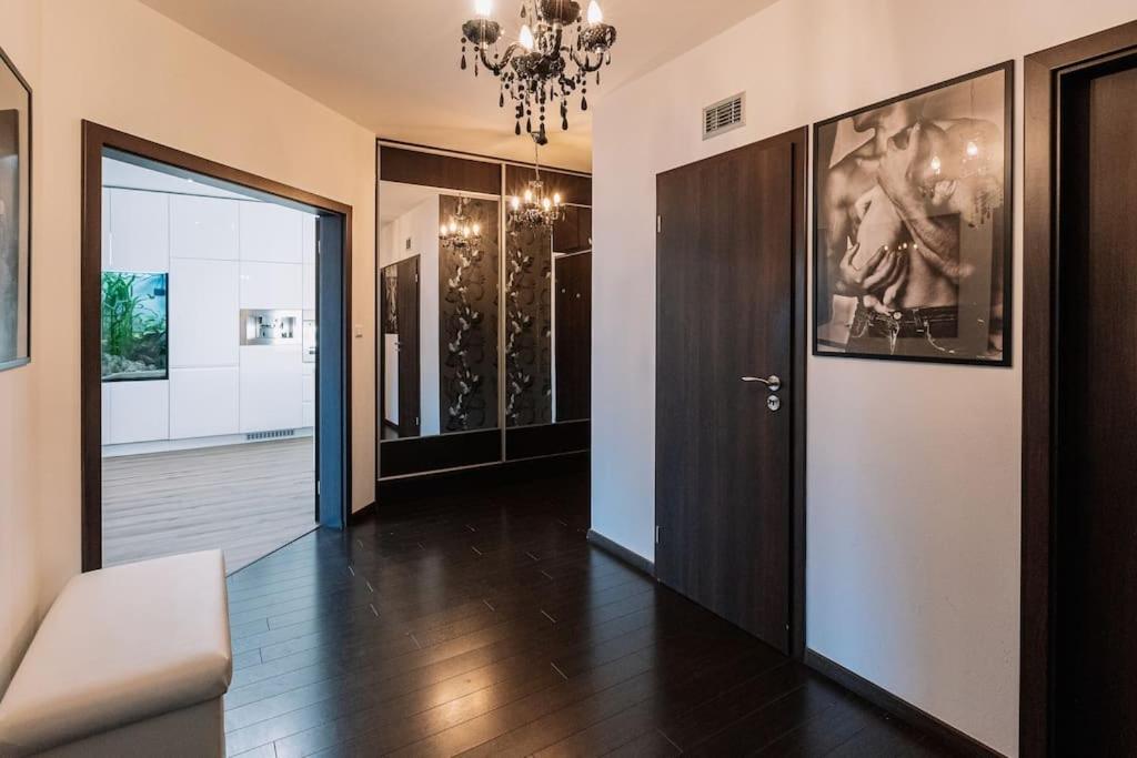Family Aquarium Haven