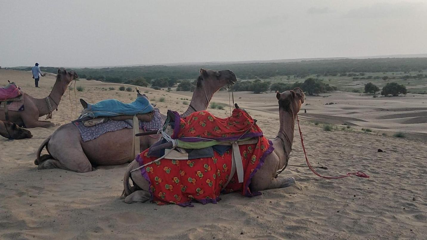 Jaisalmer Safari Base & Camp view 4