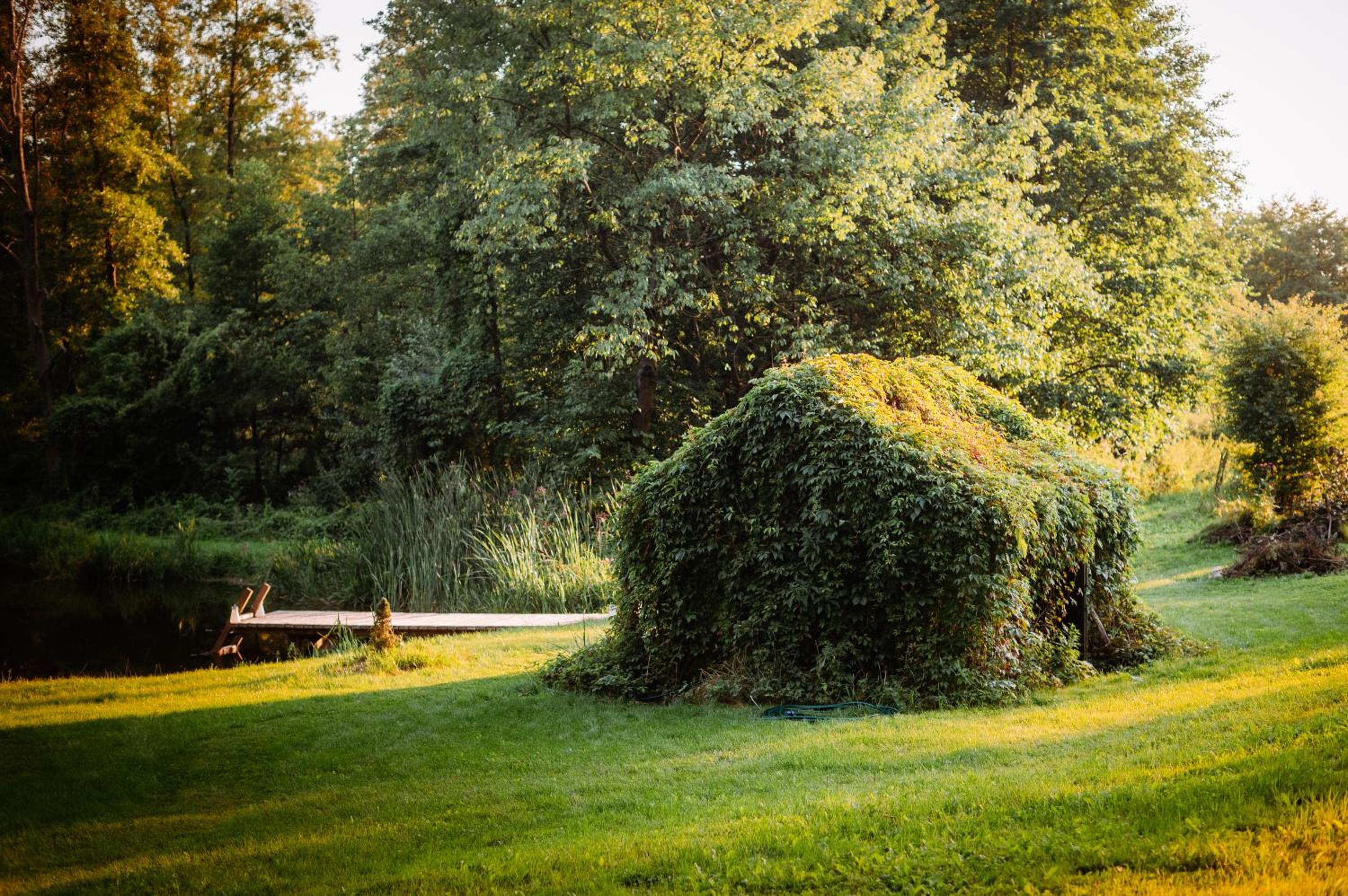 Photo 50