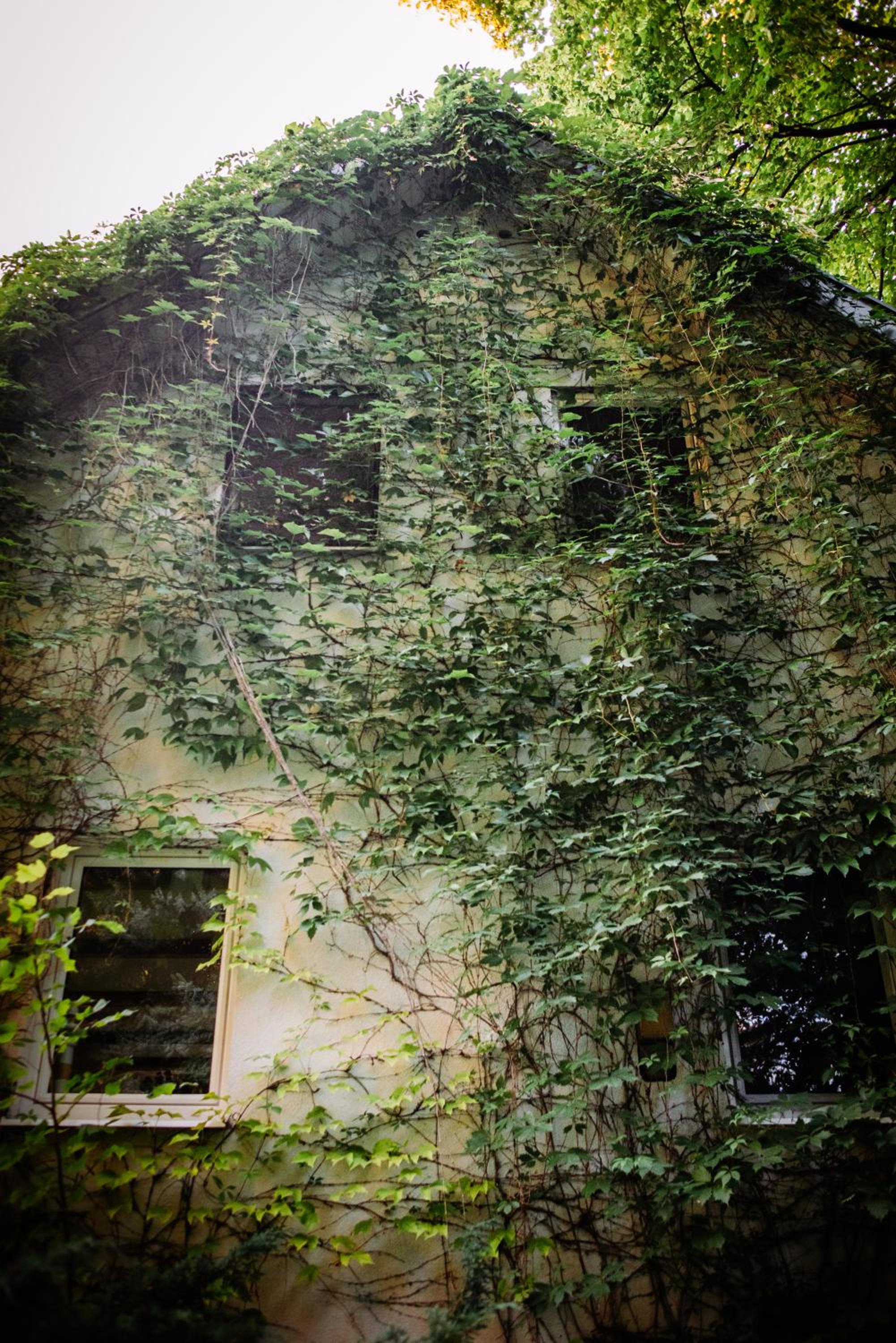 Photo 42