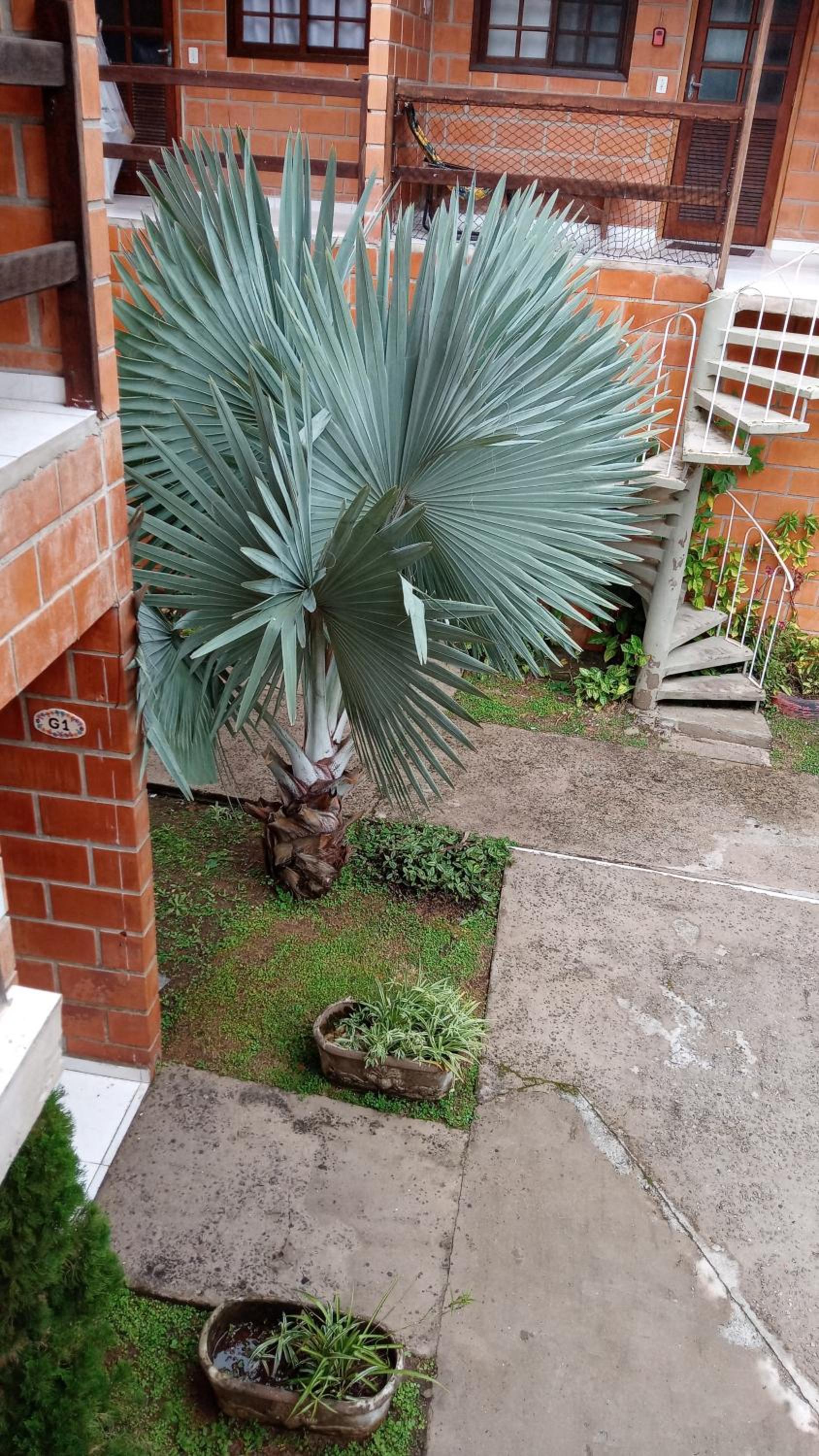 Apto Duplex Condomínio Maranduba Ville II Sapê a 100 mts da praia