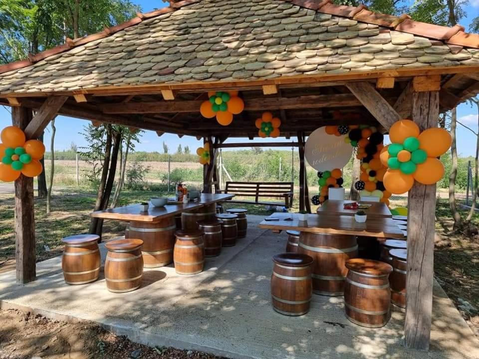 Kopićland