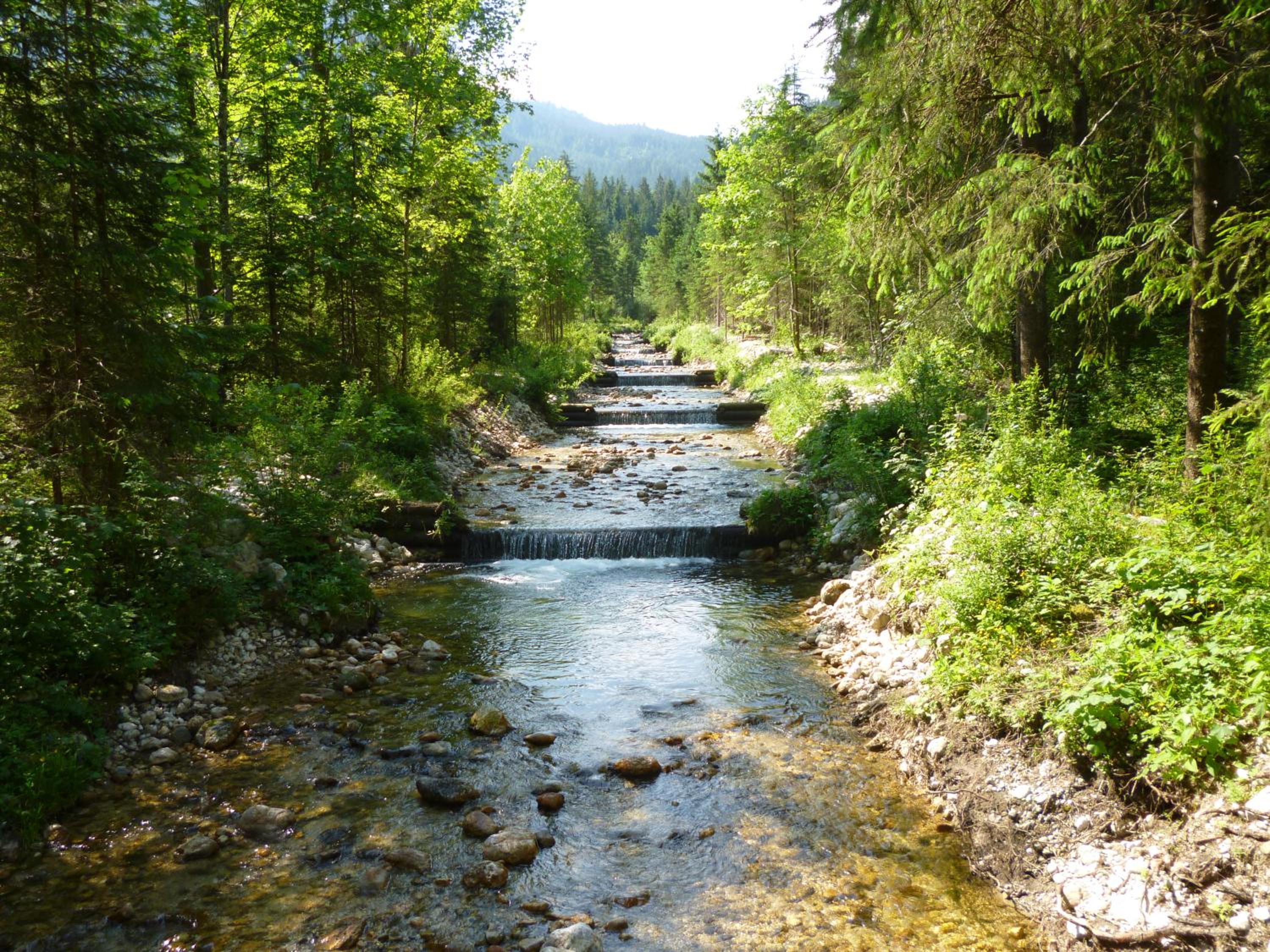 Photo 26