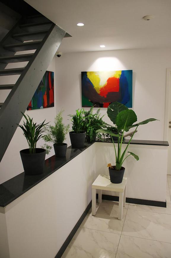 recepcion & lobby